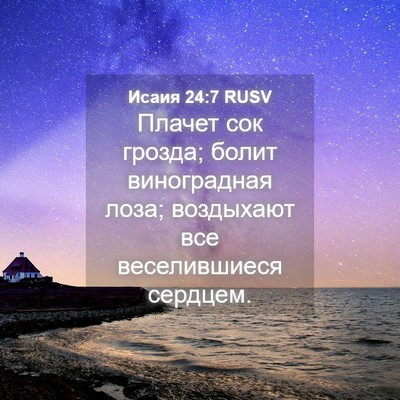 Picture 04 - Исаия 24:7 RUSV - Плачет сок грозда; болит - Bible Verse Picture