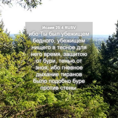 Picture 04 - Исаия 25:4 RUSV - ибо Ты был убежищем - Bible Verse Picture