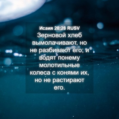 Picture 04 - Исаия 28:28 RUSV - Зерновой хлеб - Bible Verse Picture