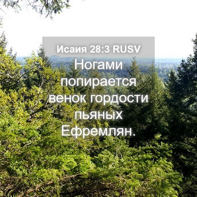 Picture 04 - Исаия 28:3 RUSV - Ногами попирается венок - Bible Verse Picture