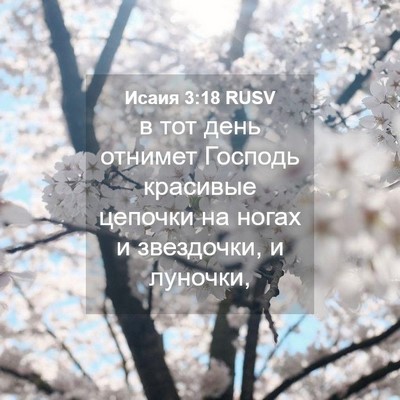 Picture 04 - Исаия 3:18 RUSV - в тот день отнимет Господь - Bible Verse Picture