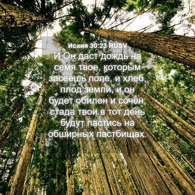 Picture 04 - Исаия 30:23 RUSV - И Он даст дождь на семя - Bible Verse Picture