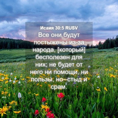 Picture 04 - Исаия 30:5 RUSV - Все они будут постыжены - Bible Verse Picture