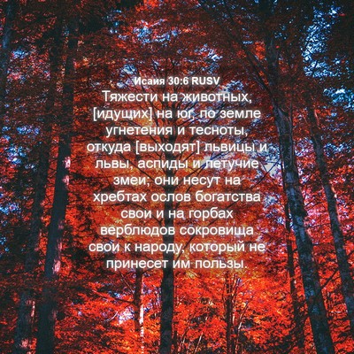 Picture 04 - Исаия 30:6 RUSV - Тяжести на животных, - Bible Verse Picture