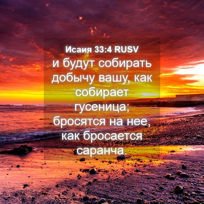 Picture 04 - Исаия 33:4 RUSV - и будут собирать добычу - Bible Verse Picture