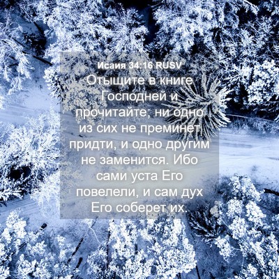 Picture 04 - Исаия 34:16 RUSV - Отыщите в книге Господней - Bible Verse Picture
