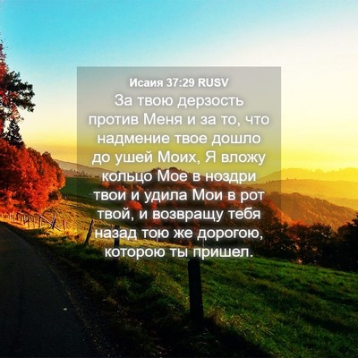 Picture 04 - Исаия 37:29 RUSV - За твою дерзость против - Bible Verse Picture