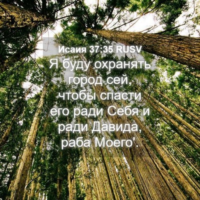 Picture 04 - Исаия 37:35 RUSV - Я буду охранять город сей, - Bible Verse Picture