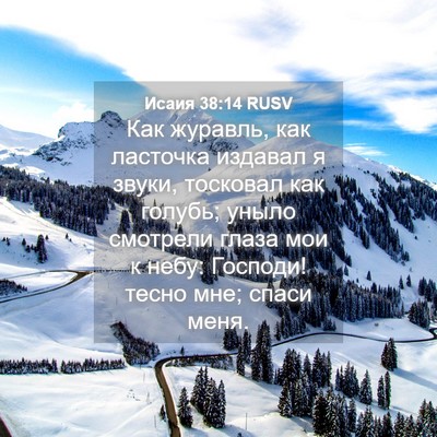 Picture 04 - Исаия 38:14 RUSV - Как журавль, как ласточка - Bible Verse Picture