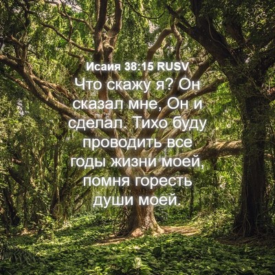 Picture 04 - Исаия 38:15 RUSV - Что скажу я? Он сказал мне, - Bible Verse Picture