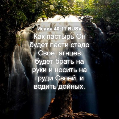 Picture 04 - Исаия 40:11 RUSV - Как пастырь Он будет пасти - Bible Verse Picture