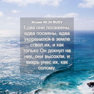 Picture 04 - Исаия 40:24 RUSV - Едва они посажены, едва - Bible Verse Picture