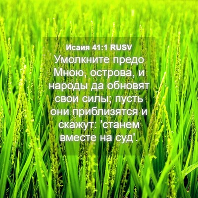 Picture 04 - Исаия 41:1 RUSV - Умолкните предо Мною, - Bible Verse Picture