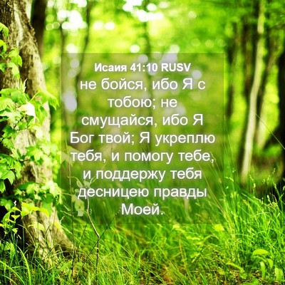 Picture 04 - Исаия 41:10 RUSV - не бойся, ибо Я с тобою; не - Bible Verse Picture
