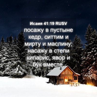Picture 04 - Исаия 41:19 RUSV - посажу в пустыне кедр, - Bible Verse Picture