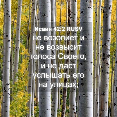 Picture 04 - Исаия 42:2 RUSV - не возопиет и не возвысит - Bible Verse Picture