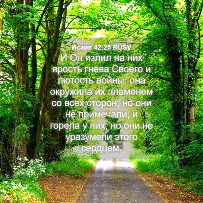 Picture 04 - Исаия 42:25 RUSV - И Он излил на них ярость - Bible Verse Picture
