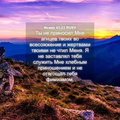 Picture 04 - Исаия 43:23 RUSV - Ты не приносил Мне агнцев - Bible Verse Picture