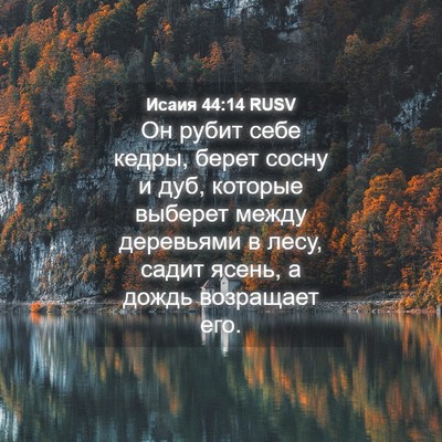Picture 04 - Исаия 44:14 RUSV - Он рубит себе кедры, берет - Bible Verse Picture