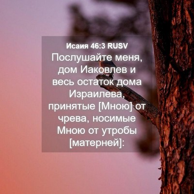 Picture 04 - Исаия 46:3 RUSV - Послушайте меня, дом - Bible Verse Picture
