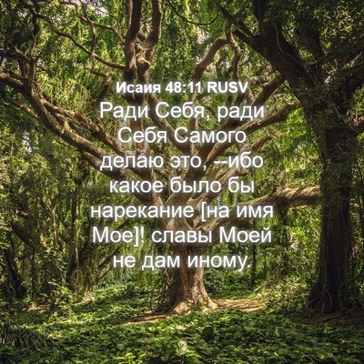 Picture 04 - Исаия 48:11 RUSV - Ради Себя, ради Себя Самого - Bible Verse Picture