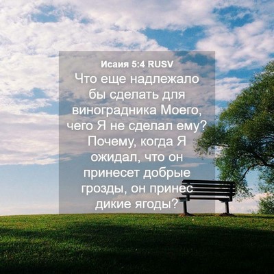 Picture 04 - Исаия 5:4 RUSV - Что еще надлежало бы - Bible Verse Picture