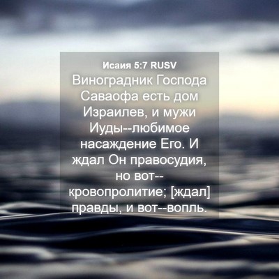 Picture 04 - Исаия 5:7 RUSV - Виноградник Господа - Bible Verse Picture