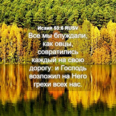 Picture 04 - Исаия 53:6 RUSV - Все мы блуждали, как овцы, - Bible Verse Picture