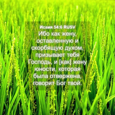 Picture 04 - Исаия 54:6 RUSV - Ибо как жену, оставленную и - Bible Verse Picture