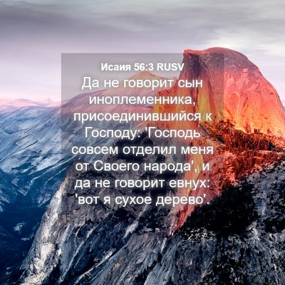 Picture 04 - Исаия 56:3 RUSV - Да не говорит сын - Bible Verse Picture
