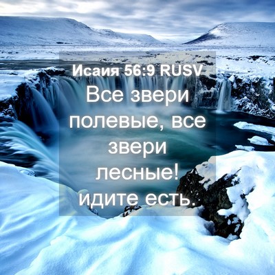 Picture 04 - Исаия 56:9 RUSV - Все звери полевые, все - Bible Verse Picture