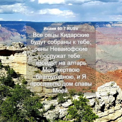 Picture 04 - Исаия 60:7 RUSV - Все овцы Кидарские будут - Bible Verse Picture