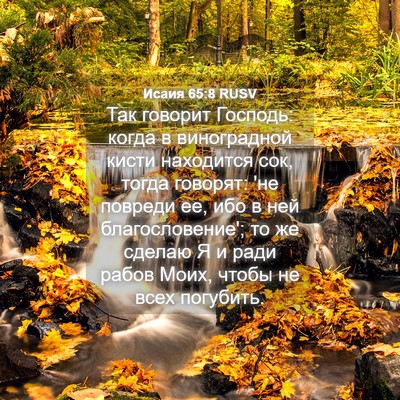 Picture 04 - Исаия 65:8 RUSV - Так говорит Господь: когда - Bible Verse Picture