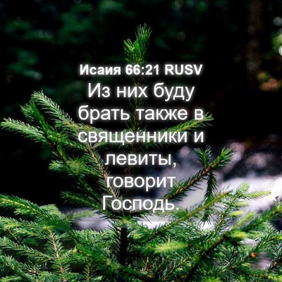Picture 04 - Исаия 66:21 RUSV - Из них буду брать также в - Bible Verse Picture