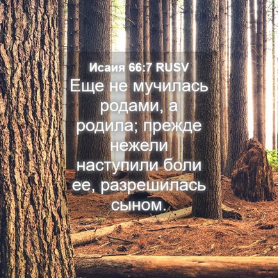 Picture 04 - Исаия 66:7 RUSV - Еще не мучилась родами, а - Bible Verse Picture