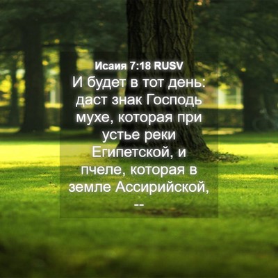 Picture 04 - Исаия 7:18 RUSV - И будет в тот день: даст - Bible Verse Picture