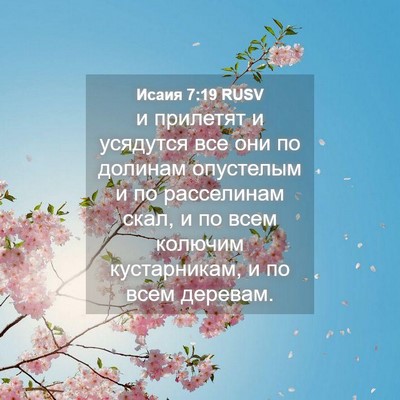 Picture 04 - Исаия 7:19 RUSV - и прилетят и усядутся все - Bible Verse Picture