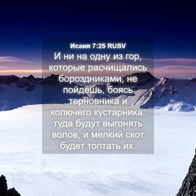Picture 04 - Исаия 7:25 RUSV - И ни на одну из гор, которые - Bible Verse Picture