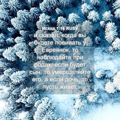 Picture 04 - Исход 1:16 RUSV - и сказал: когда вы будете - Bible Verse Picture
