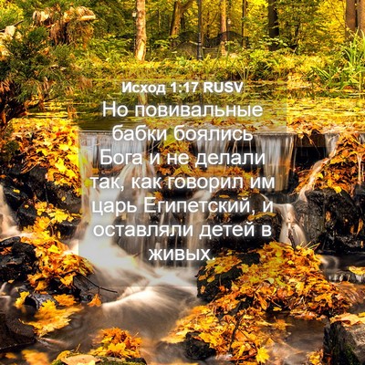 Picture 04 - Исход 1:17 RUSV - Но повивальные бабки - Bible Verse Picture