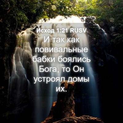 Picture 04 - Исход 1:21 RUSV - И так как повивальные - Bible Verse Picture
