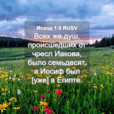 Picture 04 - Исход 1:5 RUSV - Всех же душ, происшедших от - Bible Verse Picture