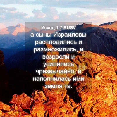 Picture 04 - Исход 1:7 RUSV - а сыны Израилевы - Bible Verse Picture