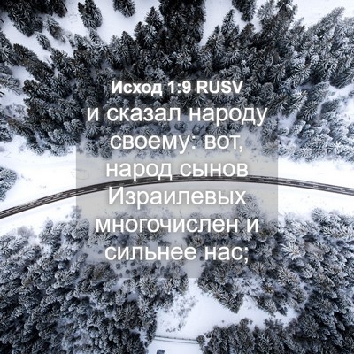 Picture 04 - Исход 1:9 RUSV - и сказал народу своему: - Bible Verse Picture