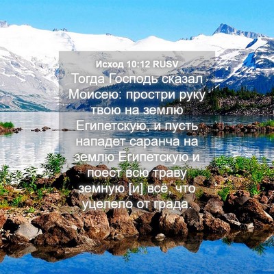 Picture 04 - Исход 10:12 RUSV - Тогда Господь сказал - Bible Verse Picture