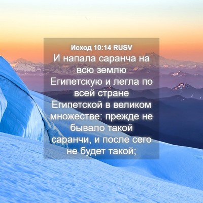Picture 04 - Исход 10:14 RUSV - И напала саранча на всю - Bible Verse Picture