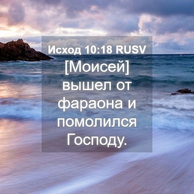 Picture 04 - Исход 10:18 RUSV - [Моисей] вышел от фараона и - Bible Verse Picture