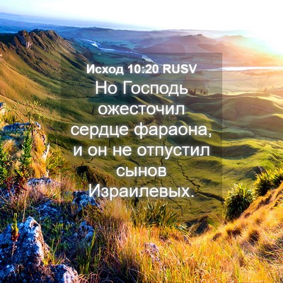 Picture 04 - Исход 10:20 RUSV - Но Господь ожесточил - Bible Verse Picture
