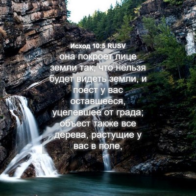 Picture 04 - Исход 10:5 RUSV - она покроет лице земли так, - Bible Verse Picture