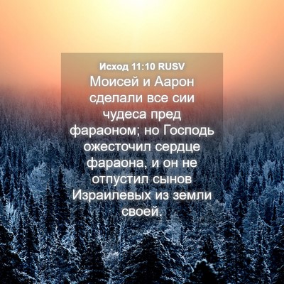 Picture 04 - Исход 11:10 RUSV - Моисей и Аарон сделали все - Bible Verse Picture